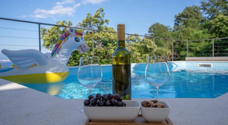 Wonderful villa with pool | Dogs allowed in Opatija