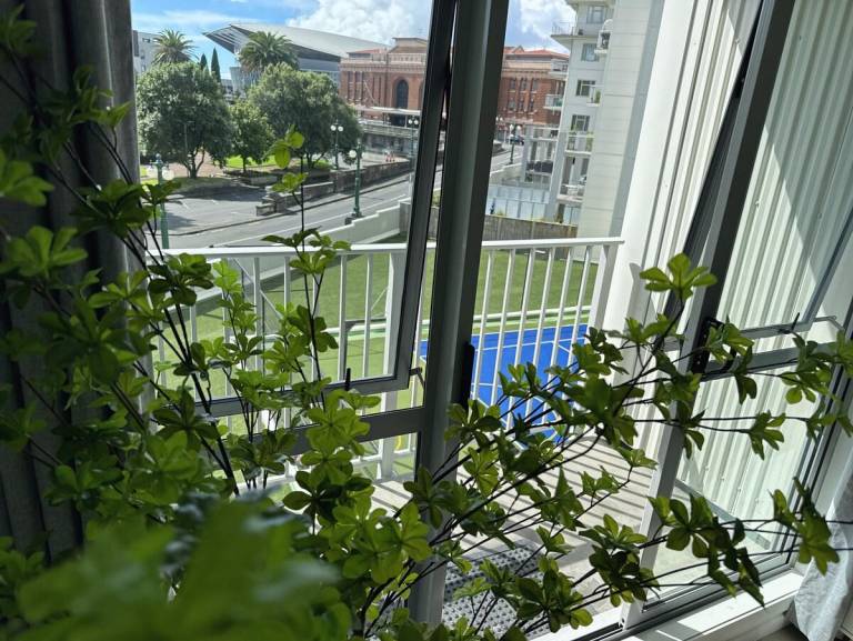 foto7