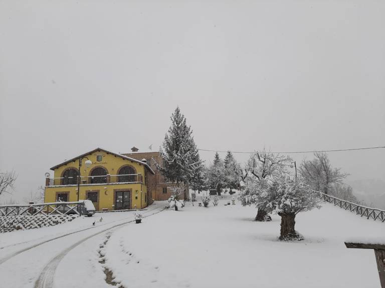 Agriturismo Antica corte: Delfica: Camera quadrupla — photo 3
