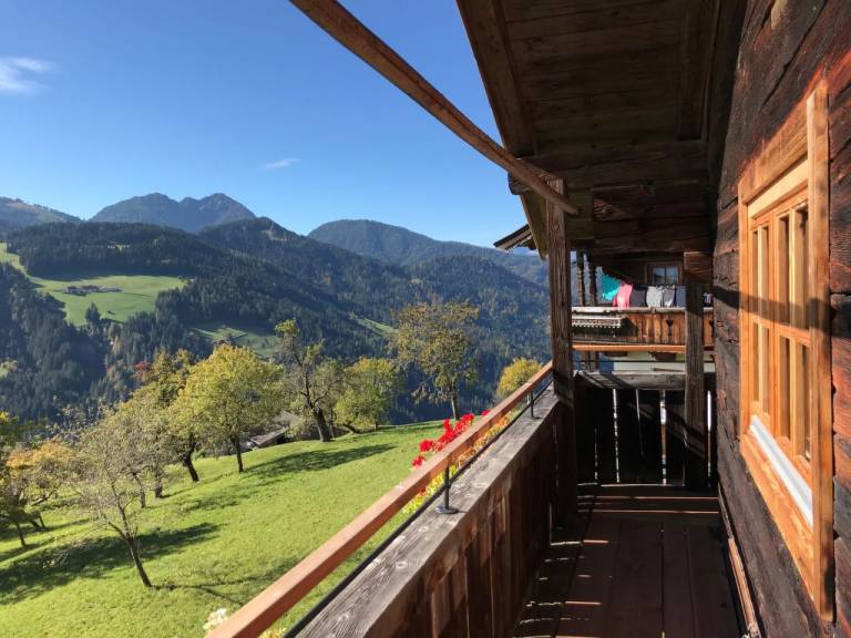 foto29