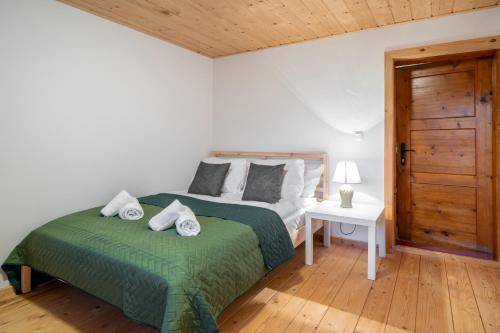 Apartament Witów
