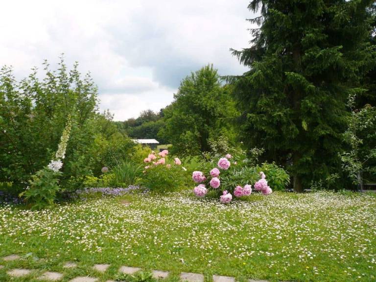 foto36