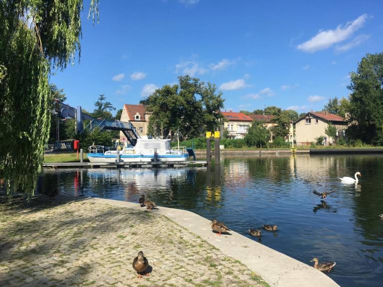 foto19