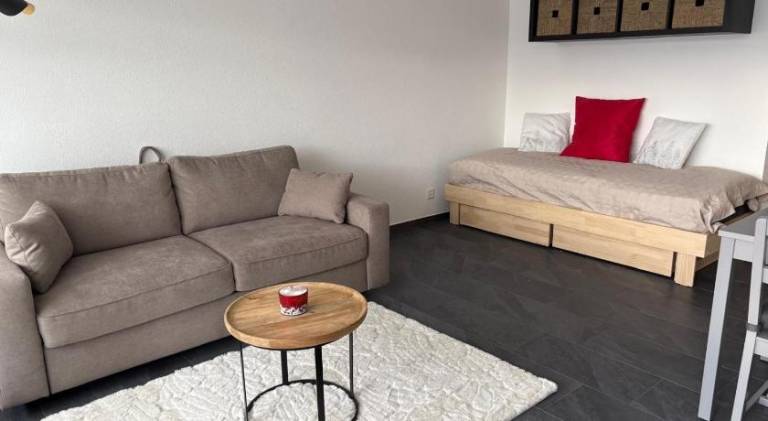 Lovely rental apartment | Pets are welcome — photo 2