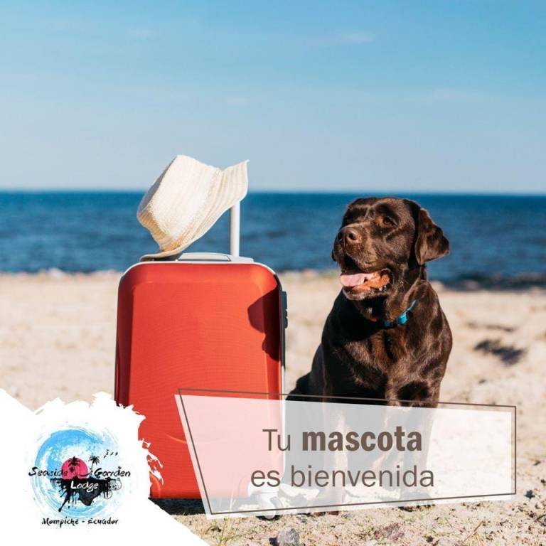 foto44