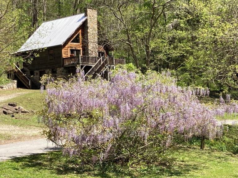 Cabin Meadow Bridge