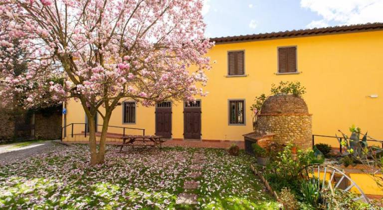 Serviced apartment with garden in Montespertoli