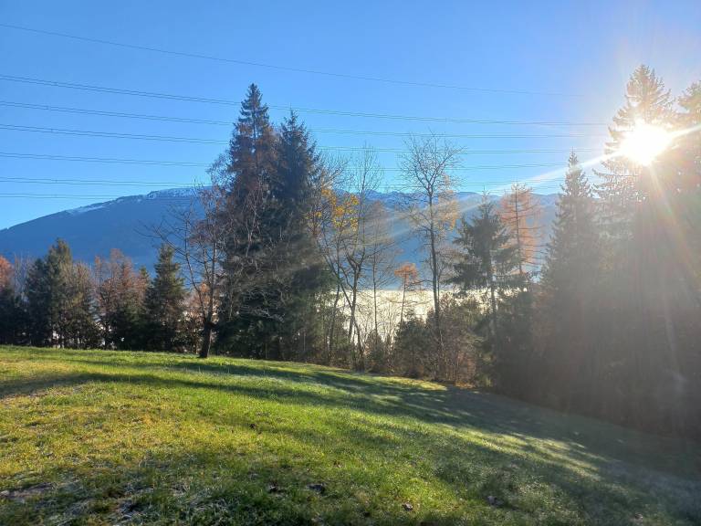 foto11