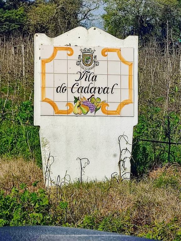 foto44