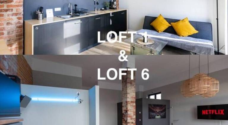 Zwei Lofts in Kulturdenkmal nahe Zentrum (VI+I) in Leipzig