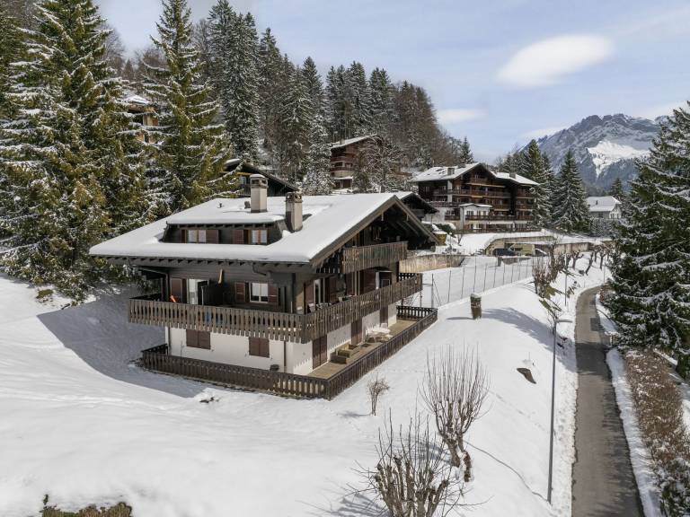 Appartement  Waadtländer Alpen