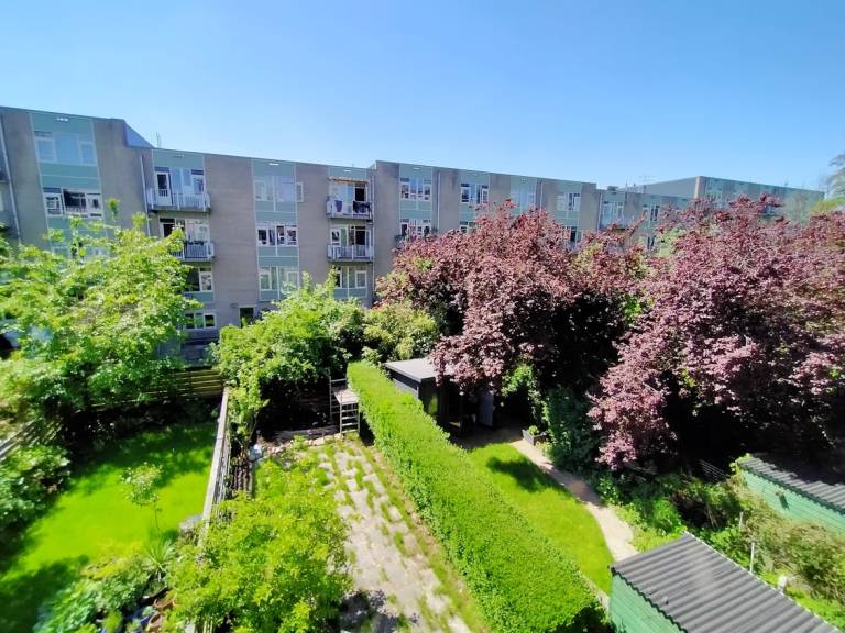foto14