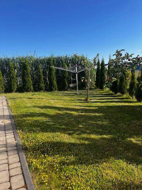 foto45