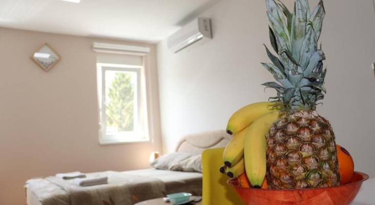 Apartma  Bošnjaci