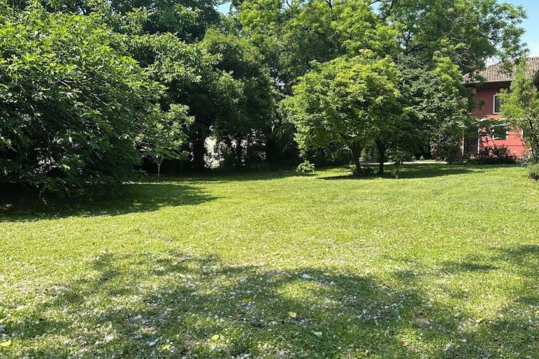 foto17