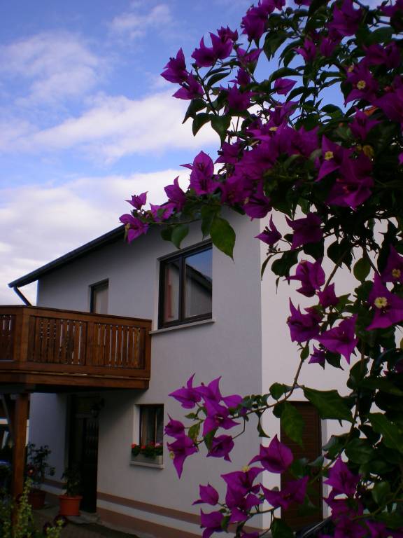 Ferienhaus Wüstensachsen