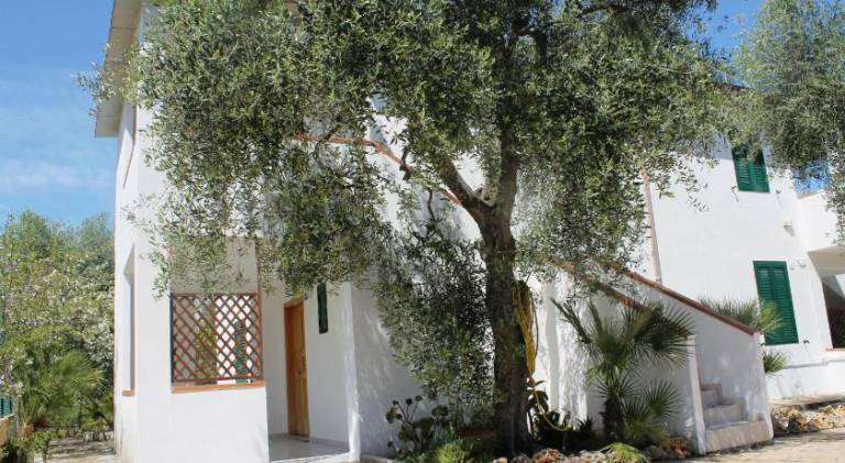 Wonderful serviced apartment with grill & yard | Close to the beach | Dogs allowed — photo 2