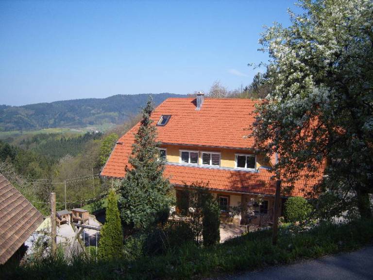 foto19