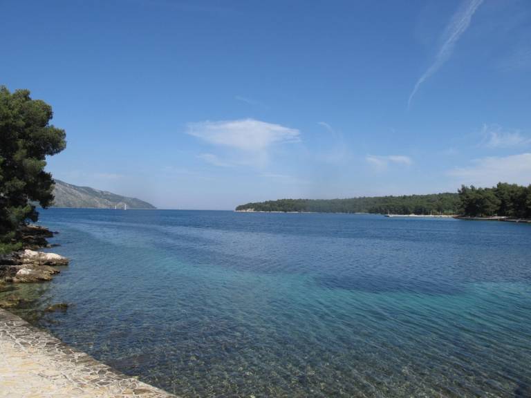 foto19