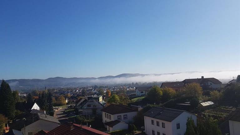 foto11