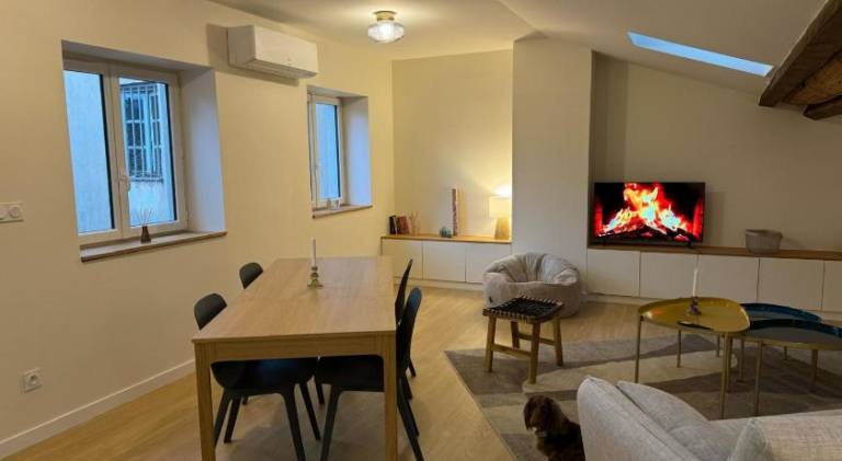 Apartment | Next to Place Bellecour | Pets are welcome in Lyon