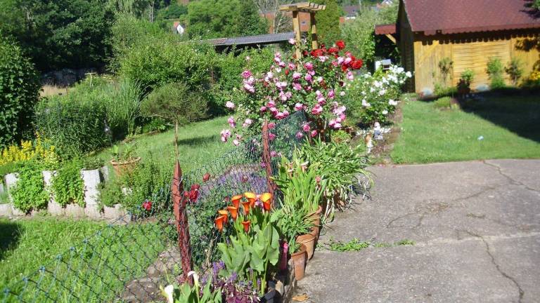 foto13