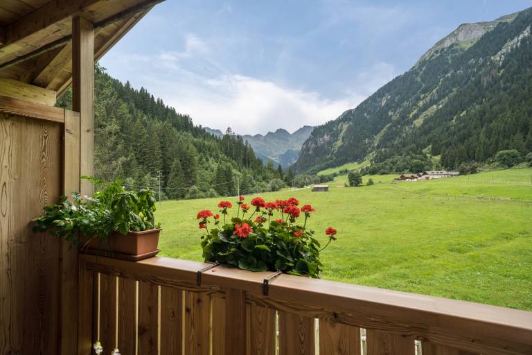 Rental apartment with yard & barbecue | Garden view — photo 2