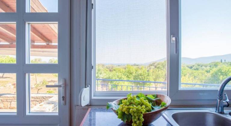 Holiday apartment | Pet-friendly — photo 4