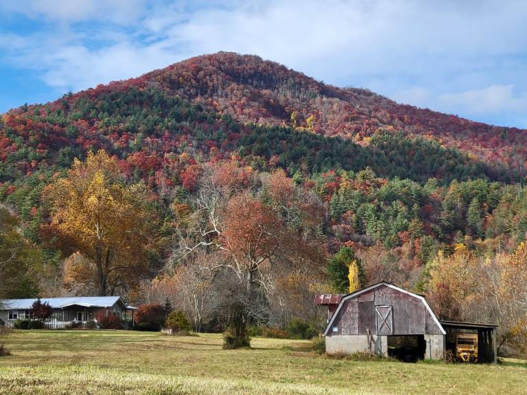Cabin Rabun Gap