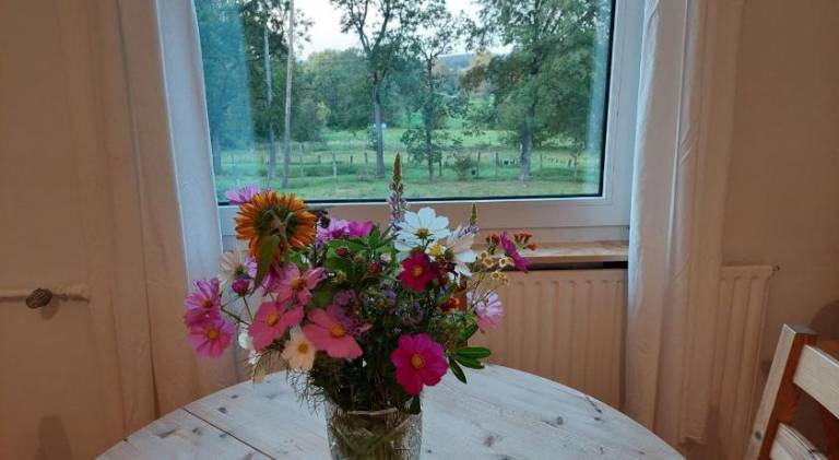 Holiday apartment | Dogs allowed — photo 5