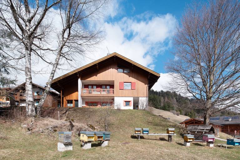 Bild zu 6c715ab399560c25