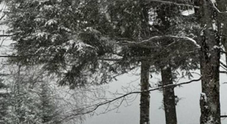 foto30