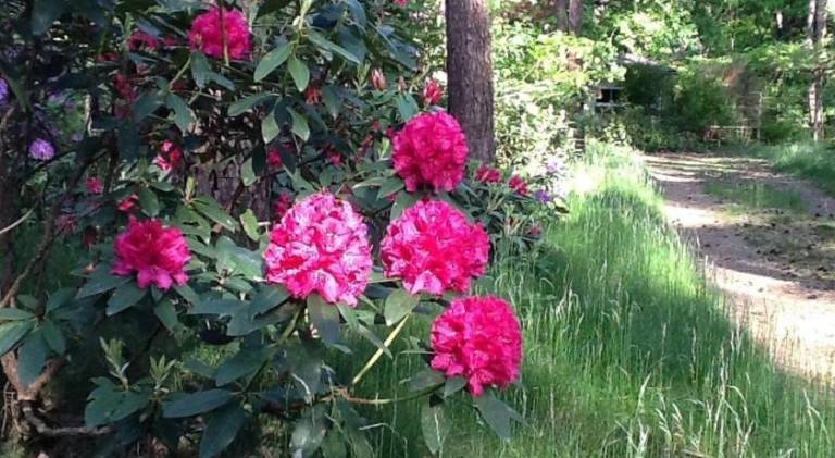 foto39