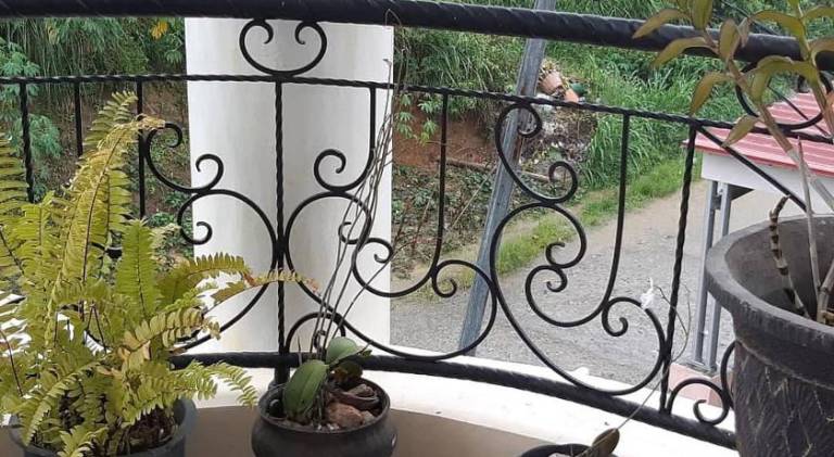 foto41