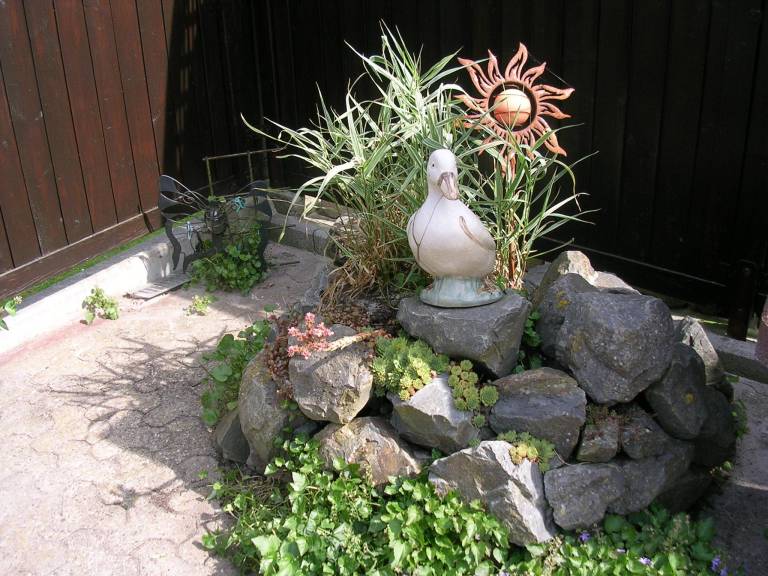 foto5