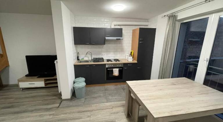 Rental apartment with yard — photo 4