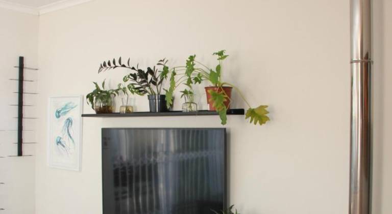 foto18