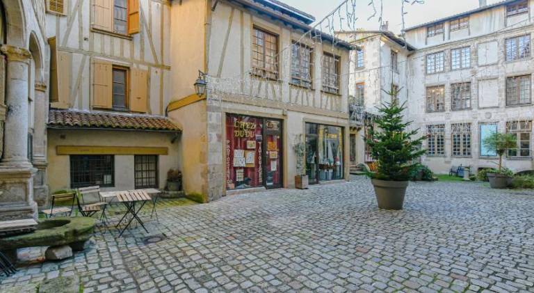 Le Coeur de Limoges, en hypercentre — photo 4