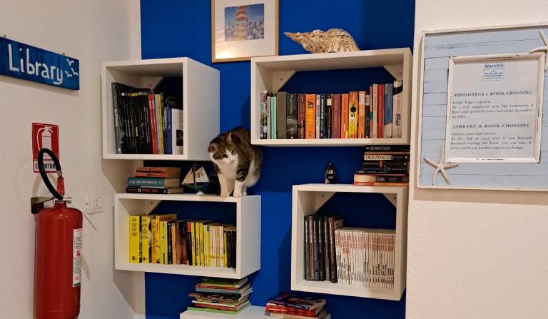 foto18