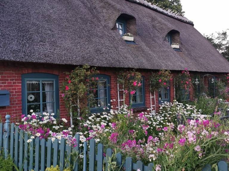 Ferienwohnung Falshöft