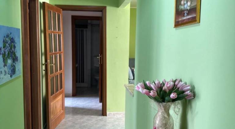 Rental apartment | Close to the beach | Dogs allowed — photo 5