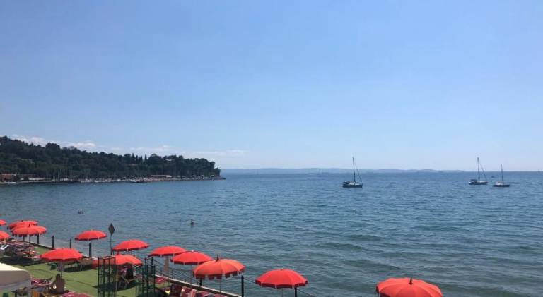foto41