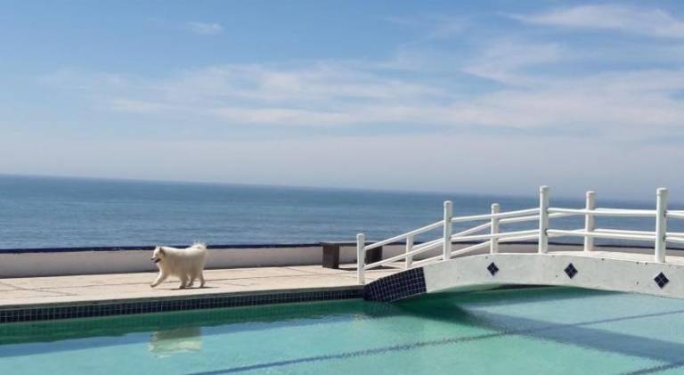 Holiday apartment with pool | Next to the beach | Dogs allowed — photo 5