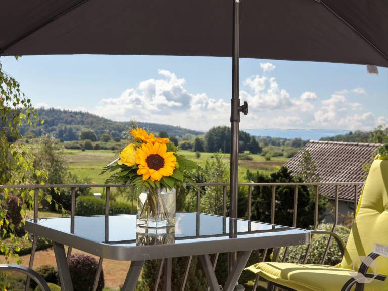 Ferienwohnung  Radolfzell am Bodensee