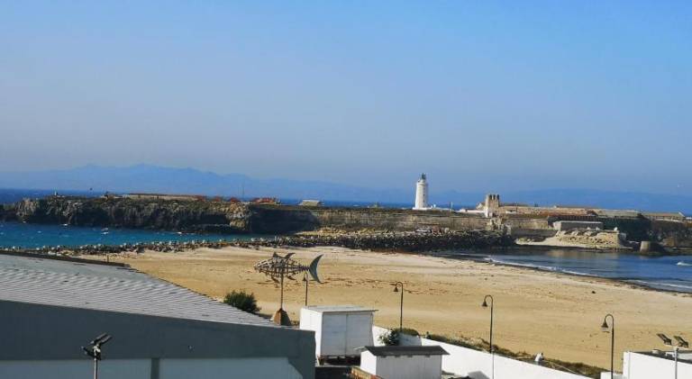 Wonderful holiday apartment | Close to the beach | Pets are welcome — photo 5