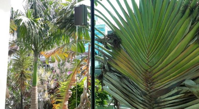 Casa da Praia — photo 3