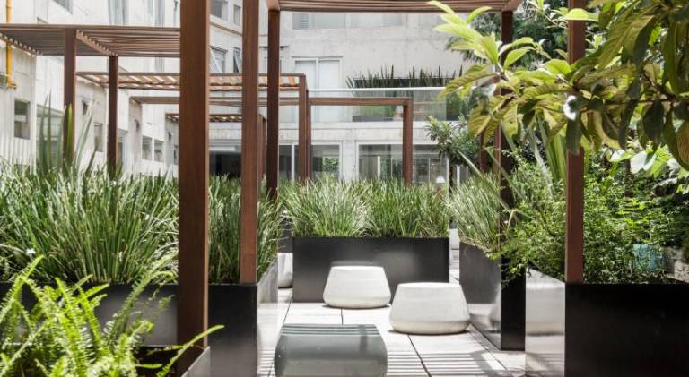 Departamento en Condesa con vista al Castillo de Chapultepec GYM - POOL - PARKING — photo 4