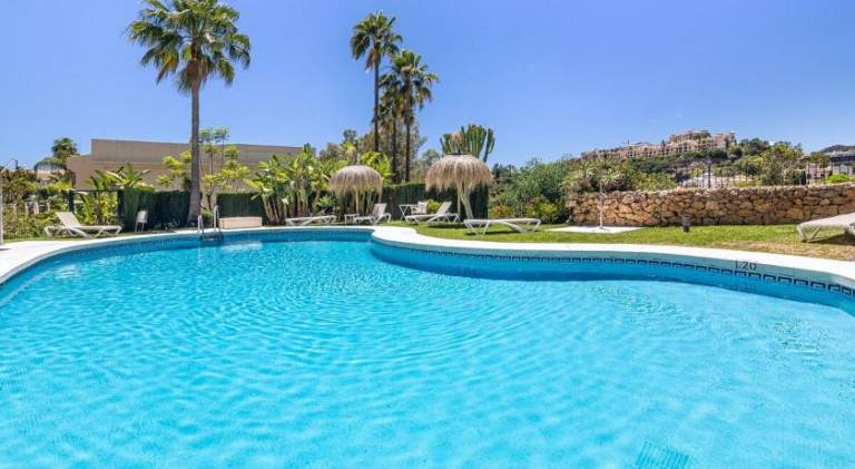 House with pool — photo 4
