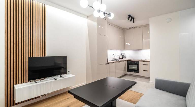 Lovely holiday apartment | Dogs allowed in Katowice