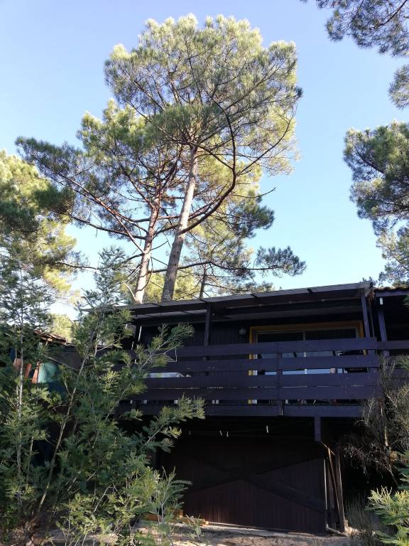 Chalet  Carcans Plage